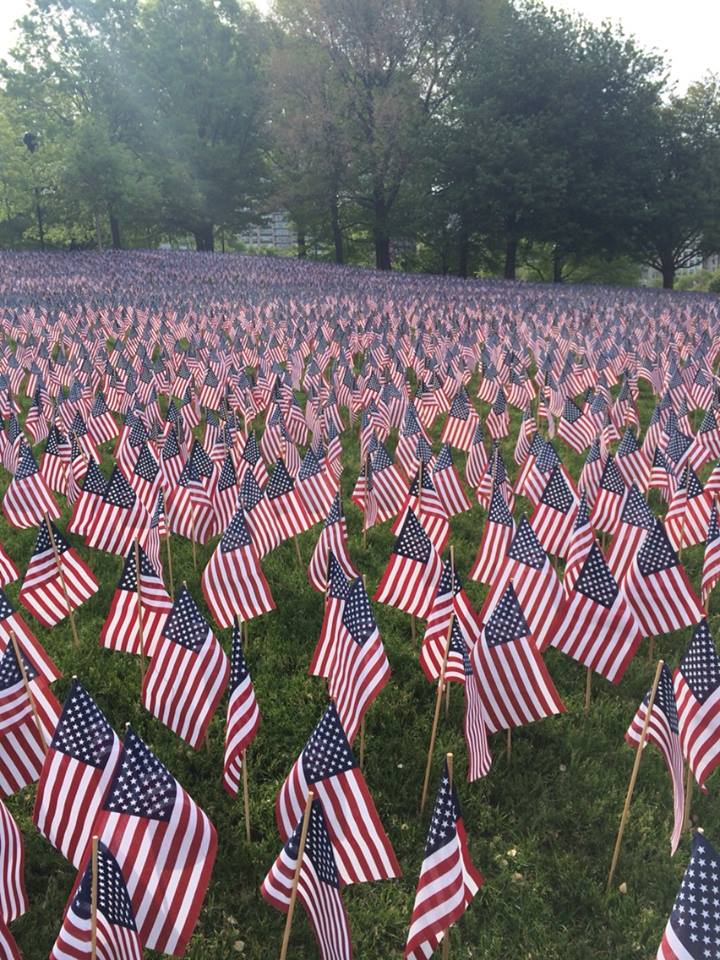 U.S. flags on Boston Common for Memorial Day 2014.