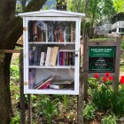 Lending library at the St. Rose Street Community Garden