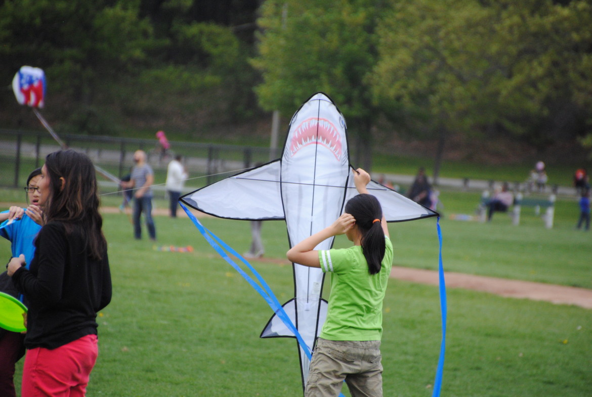 A scene from the 2015 Franklin Park Kite and Bike Festival.