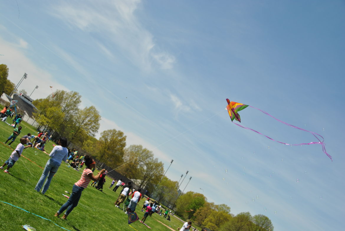 Photos The Kite Festival Swoops into Franklin Park Jamaica Plain News